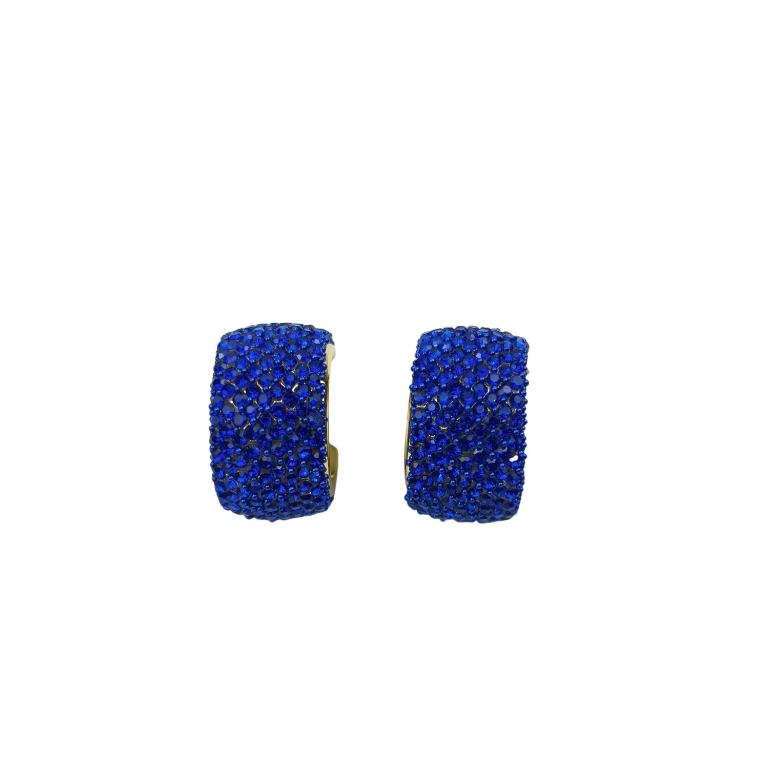 Thick Blue Pave Hoop Earrings with Gold Accent - Stile Donna Bags